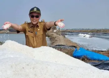 Kepala Dinas Ketahanan Pangan dan Perikanan (DKPP) Kabupaten, Serang Suhardjo, meninjau lokasi produksi garam, Senin (26/12/2022). (ISTIMEWA)