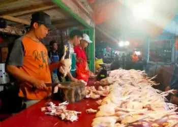 Jelang Nataru, Harga Daging Ayam Naik Rp 3.000 di Lebak, Kini Jadi Rp 35 Ribu/Kg