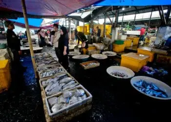 Foto Akibat Cuaca Ekstrim, Harga Ikan di TPI Cituis Tangerang Naik
