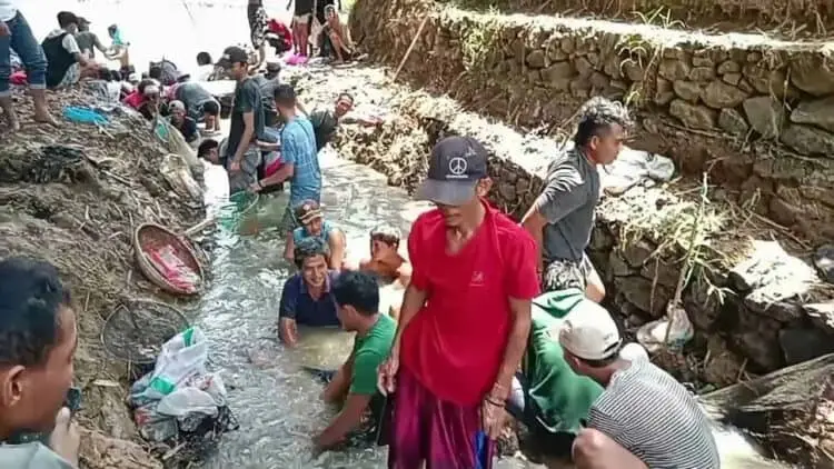 Heboh! Ribuan Ekor Ikan Muncul di Sungai Ciujung Kabupaten Serang