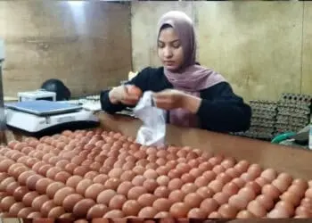 Harga Telur di Pasar Anyar Tangerang Rp 31 Ribu/Kg, Daya Beli Masyarakat Menurun