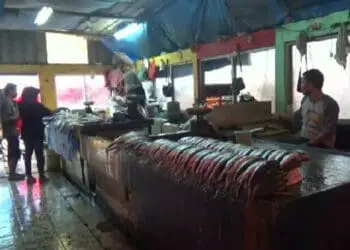Harga Ikan Tenggiri Naik Rp 50 Ribu/Kg di Pasar Rangkasbitung, Ini Penyebabnya