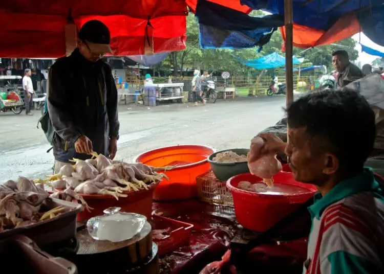Foto Pedagang Daging Ayam di Pasar Anyar, Harga Naik Jelang Nataru