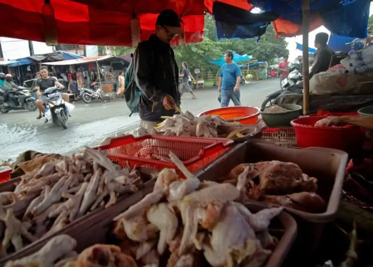 Foto Pedagang Daging Ayam di Pasar Anyar, Harga Naik Jelang Nataru