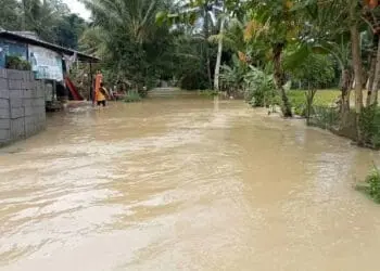 400 Hektar Lebih Persawahan di Kabupaten Serang Terendam Banjir