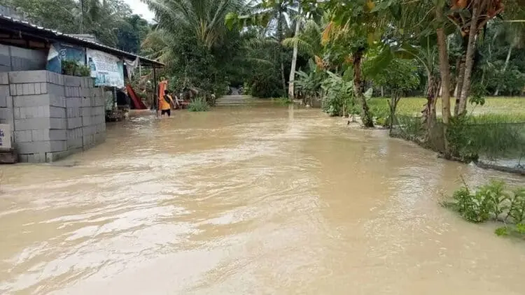 400 Hektar Lebih Persawahan di Kabupaten Serang Terendam Banjir