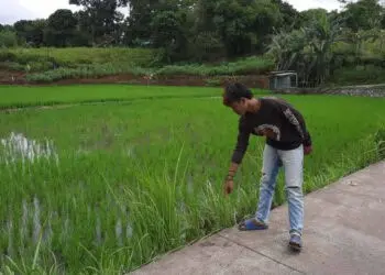 Tukang Ojek di Pagedangan Tewas Dibegal Penumpang