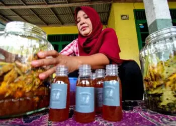 Foto Produksi Rumahan Minuman Tepache di Kota Tangerang