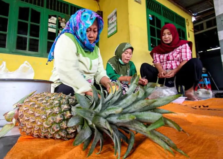Foto Produksi Rumahan Minuman Tepache di Kota Tangerang