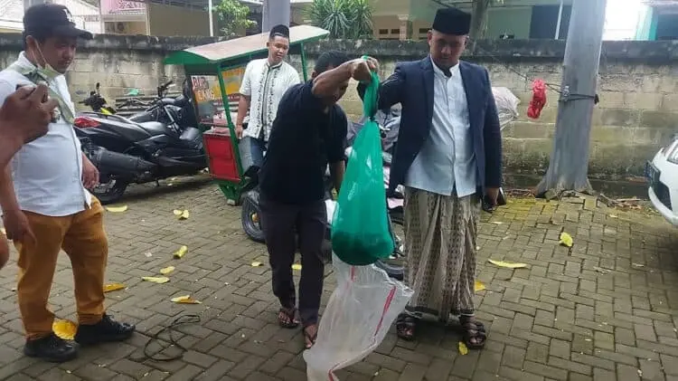 Teror Ular di Rumah Wahidin Halim Harus Diungkap