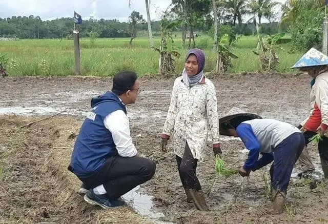 Tebar Pesona di Lebak, Anies Baswedan Turun ke Sawah hingga Bagi-bagi Buku
