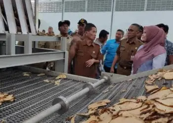 Bupati Pandeglang, Irna Narulita, bersama jajarannya sedang meninjau hasil pembangunan pabrik umbi porang di Kecamatan Panimbang, Kabupaten Pandeglang, Selasa (21/2/2023). (ISTIMEWA)