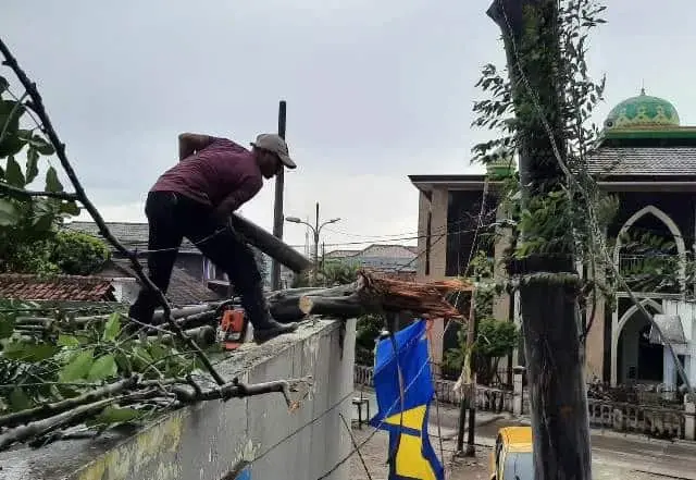 Rumah Warga Uwung Jaya Tertimpa Pohon, Pemkot Tangerang Langsung Bergerak Rumah Warga Uwung Jaya Tertimpa Pohon, Pemkot Tangerang Langsung Bergerak