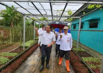 Pemprov Banten Klaim Stok Beras Surplus, Harga di Pasaran Masih Tinggi