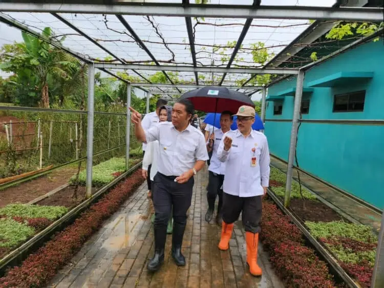 Pemprov Banten Klaim Stok Beras Surplus, Harga di Pasaran Masih Tinggi