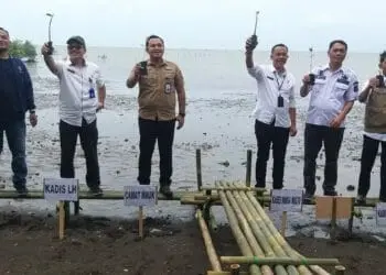 Sambut HPN 2023, PWI Kabupaten Tangerang Tanam 1.000 Mangrove