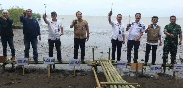 Sambut HPN 2023, PWI Kabupaten Tangerang Tanam 1.000 Mangrove