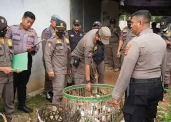 Satpol PP Temukan Banyak Botol Miras Bekas di Warem Tigaraksa