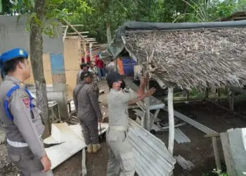 Diduga Jadi Tempat Mesum, 8 Gubuk Dibongkar Satpol PP