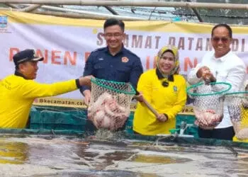 Panen Ikan Nila, Bupati Tatu Beberkan Inovasi Lain Kecamatan Carenang