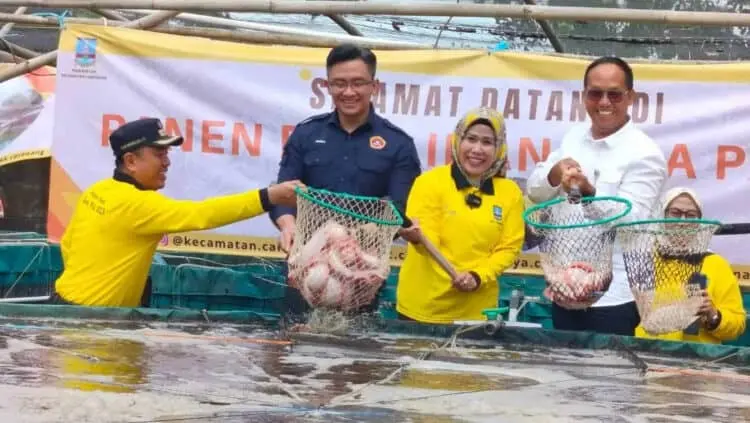Panen Ikan Nila, Bupati Tatu Beberkan Inovasi Lain Kecamatan Carenang