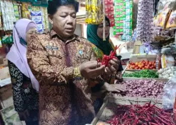 Kepala Diskoumperindag Kabupaten Serang, melakukan sidak sembako. (ISTIMEWA)