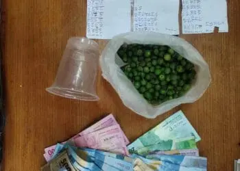 Pakai Buah Lenca Untuk Kelabui Polisi, 6 Penjudi Ditangkap