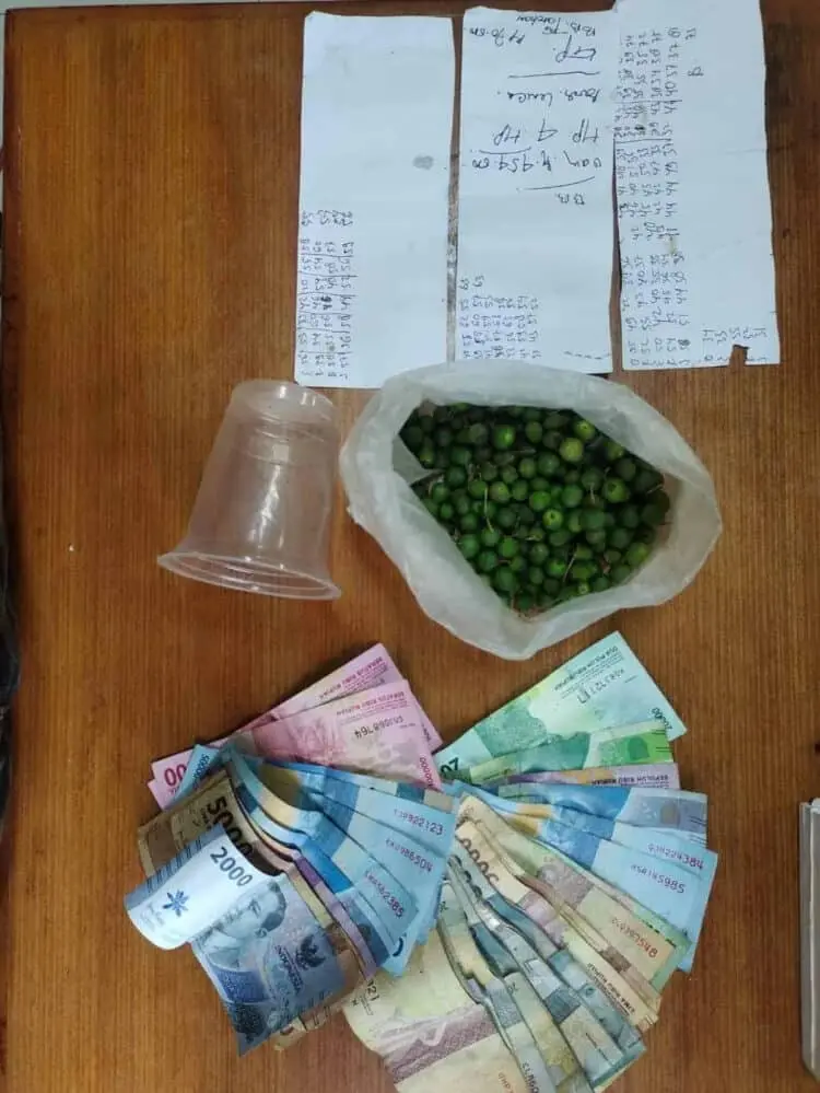 Pakai Buah Lenca Untuk Kelabui Polisi, 6 Penjudi Ditangkap