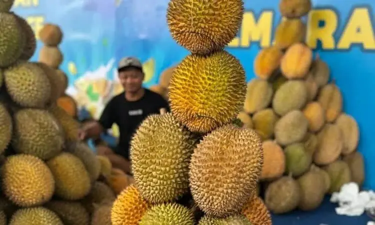 Yuk Nikmati Sensasi Belah Duren di Tangcity Mall