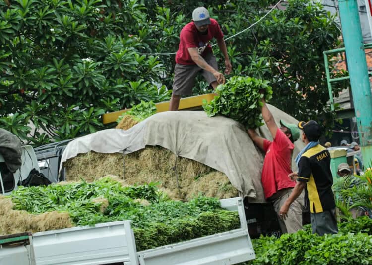 Foto Aktifitas Pedagang Sayuran di Pasar Anyar Tangerang