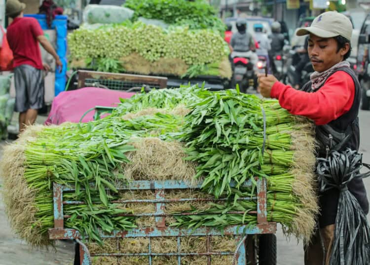 Foto Aktifitas Pedagang Sayuran di Pasar Anyar Tangerang
