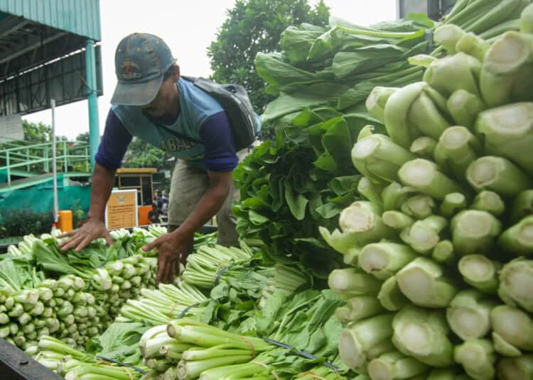 Foto Aktifitas Pedagang Sayuran di Pasar Anyar Tangerang