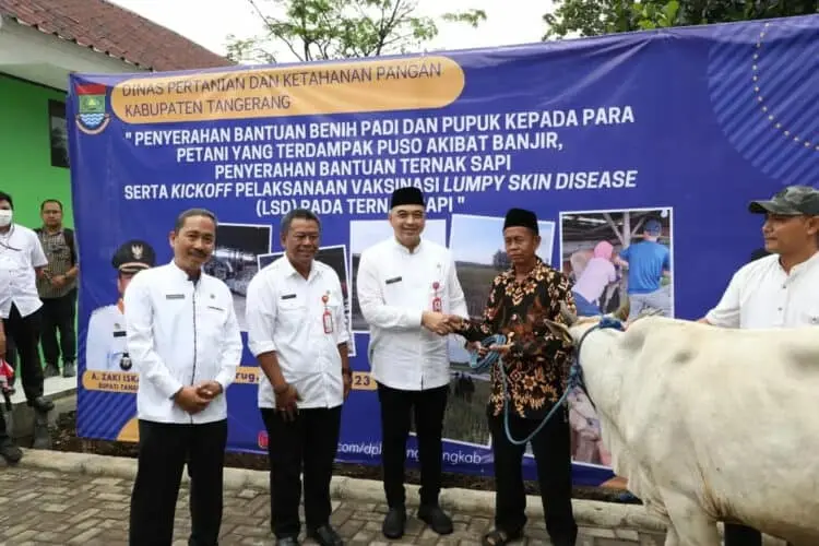 Lahannya Puso, 264 Petani di Kabupaten Tangerang Terima Bantuan Pupuk