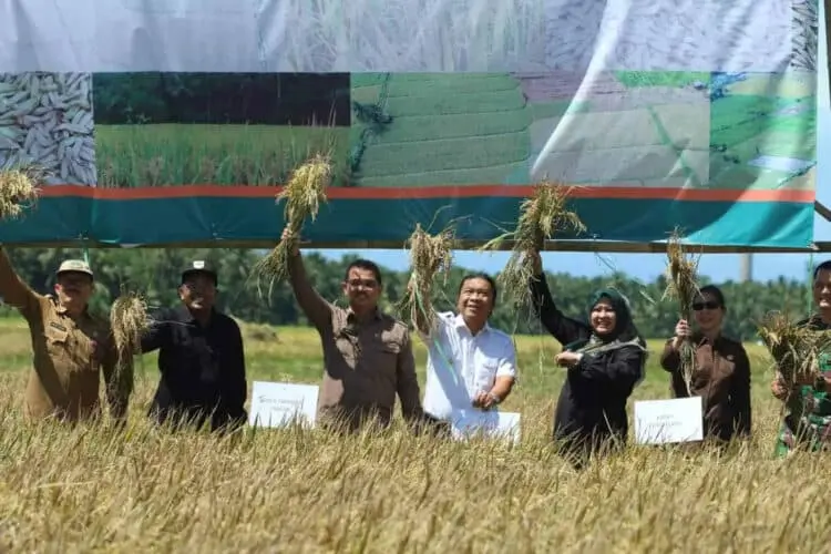 PT ABM Siap Tampung CPP, Kabid PKP Disketapang Banten : Masalahnya, Punya Tidak Gudang Penyimpanannya ?