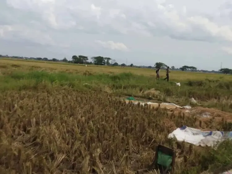 Peran PT ABM Dalam Menjaga Ketahanan Pangan Daerah Perlu Dioptimalkan