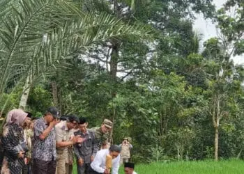 PEMASANGAN PATOK–Secara simbolis, Pj Gubernur Banten Al Muktabar, memasang patok di salah satu lahan sebagai batas tanah, Jumat (3/2/2023). (ISTIMEWA)