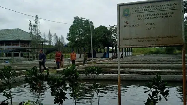 Sudah Ribuan Bibit Tanaman Hingga Benih Ikan Dibagikan DKP Kota Tangerang