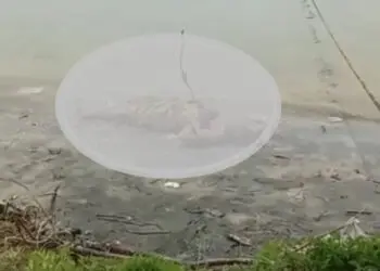 Mayat Pria Tanpa Busana Tergeletak di Tepi Pantai Dekat PLTU 2 Labuan Pandeglang