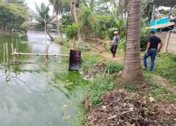 Pengolahan Air Desa Situ Terate Diduga Tercemar Limbah Pabrik