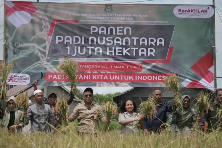 Petani Gunung Kaler dan DPKP Dukung Panen Padi Nusantara 1 Juta Hektar