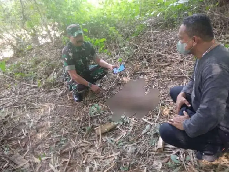 Potongan Kaki Kanan Korban Mutilasi Dimakan Biawak