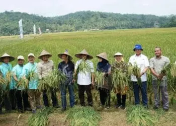 KUNJUNGAN–Menteri Pertanian dan Keterjaminan Makanan Malaysia, Datuk Sri Haji Mohamad bin Sabu, mengunjungi langsung Pusat Penelitian Pengembangan dan Penerapan Bioteknologi Agrowisata Edutainment Serang, di Desa Rancasanggal, Kecamatan Cinangka, Minggu (19/3/2023). (SIDIK/SATELITNEWS.COM)