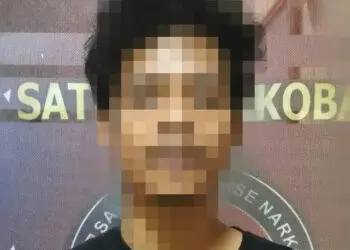 Pelaku pengedar ganja dibekuk polisi. (ISTIMEWA)