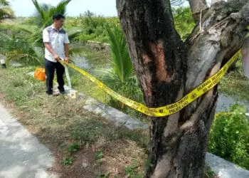 Bayi Dalam Kardus Ditemukan di Pontang Kabupaten Serang