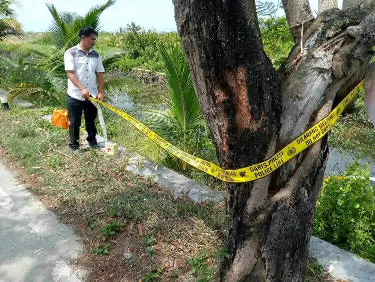 Bayi Dalam Kardus Ditemukan di Pontang Kabupaten Serang