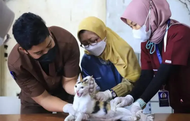 Puskeswan Kota Tangerang Punya Layanan House Call, Begini Cara Daftarnya