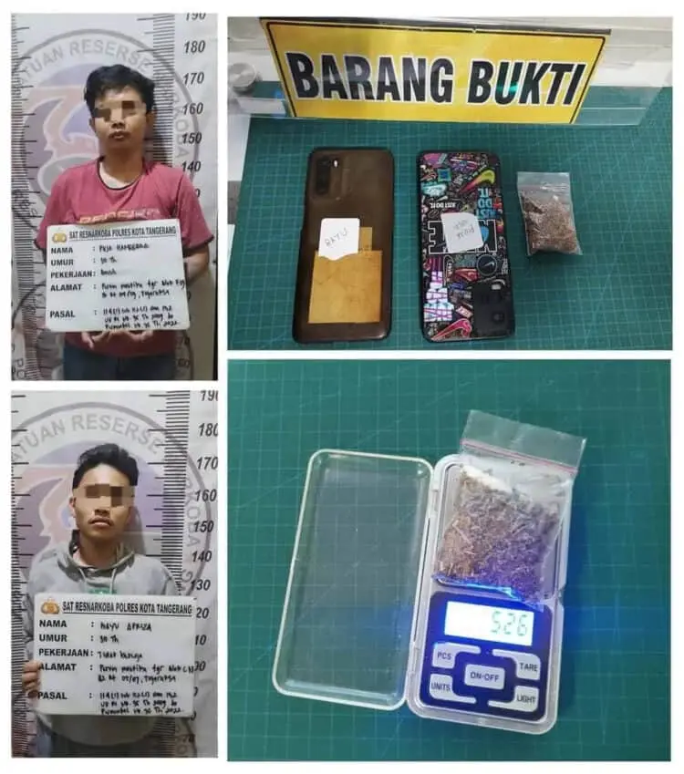 Dua Kurir Tembakau Sintetis Dibekuk Polisi
