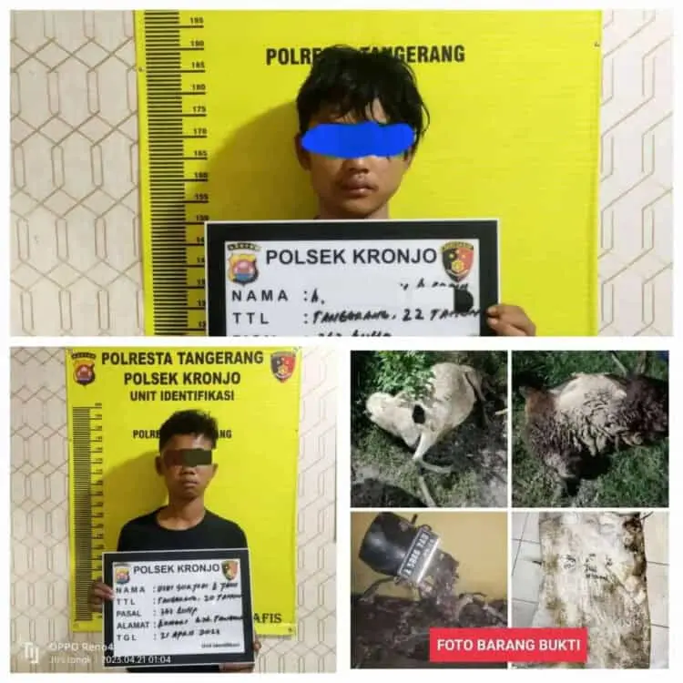 Warga Mekar Baru Kepung dan Ringkus 2 Maling Kambing Warga