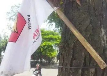 Alat Peraga Kampanye di Kota Tangerang Dipasang dengan Cara Dipaku di Pohon