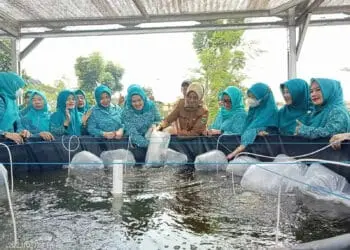 Tekan angka stunting, PKK gelar acara makan ikan. (ISTIMEWA)